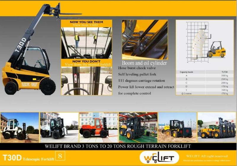 Telescopic Forklift Truck Handler 3ton Load Capacity 2000mm Reach Boom 3ton 4m Lifting High Widely Using Hot Sale