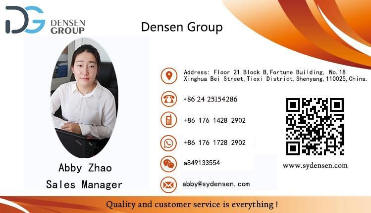 Densen Customized Foundry Cast Iron, Forklift Accessories, Forklift Spare Parts Casting Parts Cast Iron Sand Casting Products