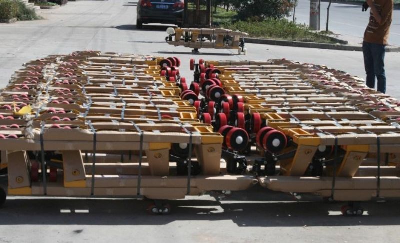 1000~3000kg Hydraulic Hand Forklift Pallet Jack/Truck with Good Quality