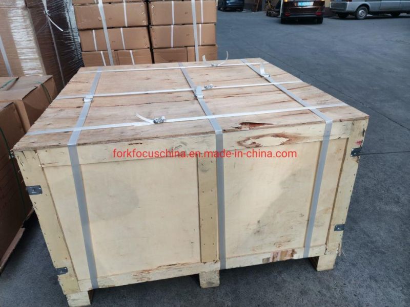 Spare Parts for Forklift Hydraulic Transmission Forkfocus Forklift Service Lift Truck Service