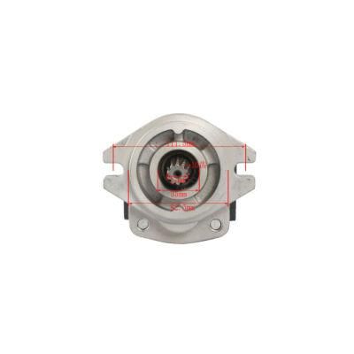 Forklift Parts Hydraulic Pump and Gear Pump Used for Hangcha/Td27 with OEM Cbhzb-F32-at@10