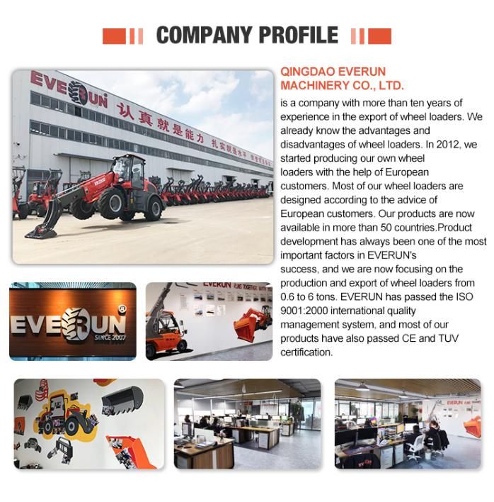 Everun Forklift Equipment Erfb20 Lead Acid -Lithium Battery Support Electric Forklift