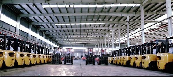 Snsc FL30 3 Ton LPG Gas Petrol Forklift to Ecuador