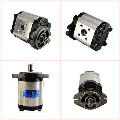 Forklift Parts Hydraulic Pump &amp; Gear Pump Use for H30d/1283, Cbtca-G425-Af@, 0009812512