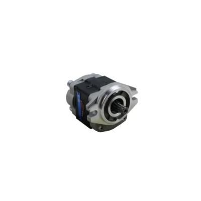 Forklift Parts Hydraulic Pump and Gear Pump Used for H2000/C240 with OEM Cbhz-F31.5-Al@10L