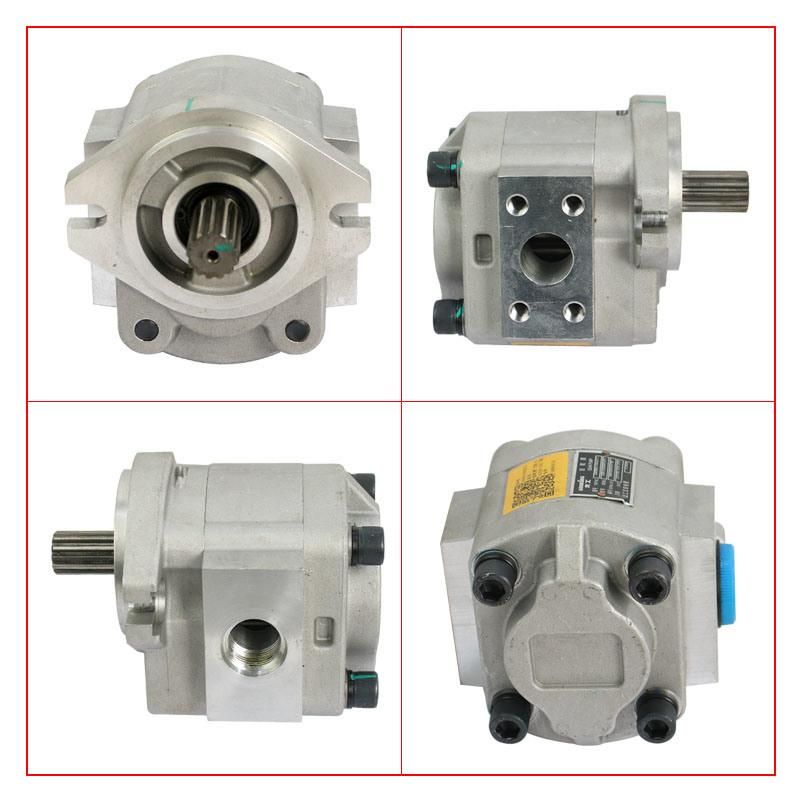 Forklift Parts Hydraulic Pump & Gear Pump Use for 6t, Cbk-G425af/Lk1