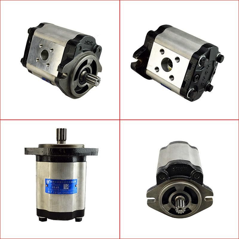 Forklift Parts Hydraulic Pump & Gear Pump Use for H30d/1283, Cbtca-G425-Af@, 0009812512