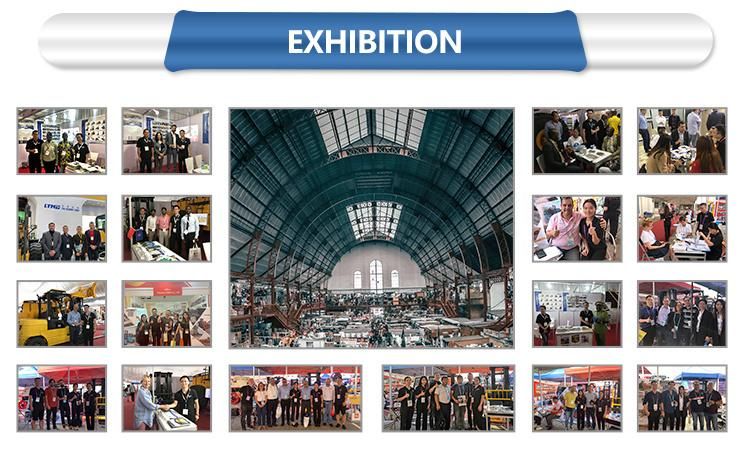 300kg 400kg Ltmg China Lift Electric Warehouse Order Picker Machine