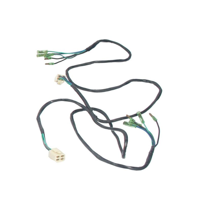 Forklift Parts Wire Harness, Combination Meter Used for JAC/490 with OEM C001