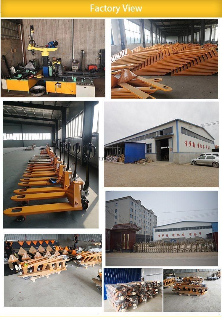 2000kg 2500kg 3000kg 5000kg Hand Pallet Truck Forklift Trolley