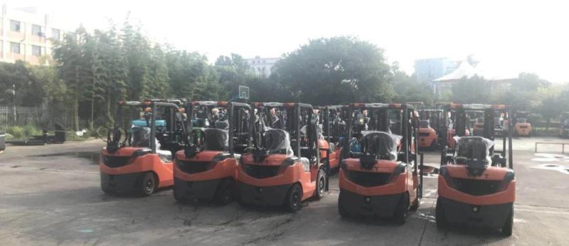 Customized Forklift 2 Ton Gas Power Forklifter