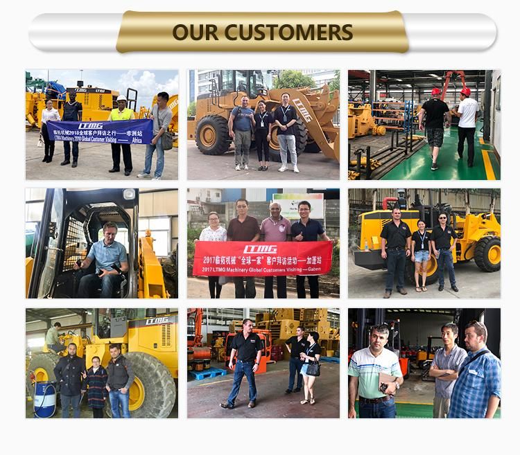 Ltmg High Quality 12 Ton Diesel Forklift with Fork Positioner