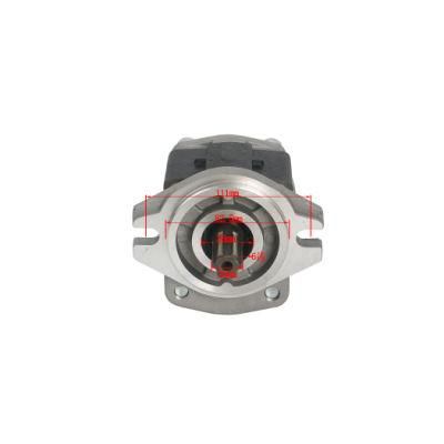 Forklift Forklift Parts Hydraulic Pump &amp; Gear Pump Use for 490 with OEM Cbhzgh32alhl
