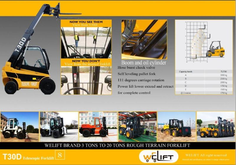 2WD 3.0 Tons Telescopic Forklift with CE Telehandler with 4 M Lifting Height