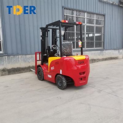 AC Motor Tder 3000 Lbs Small Electric Forklift for Sale