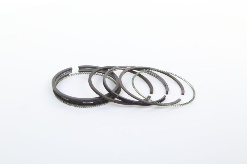 Piston Ring for C240 Engine