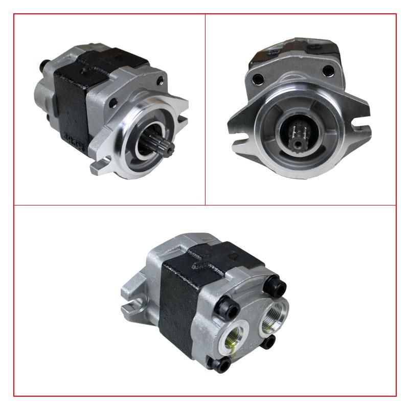 Forklift Parts Hydraulic Pump & Gear Pump Use for 30r, N121-60300-000