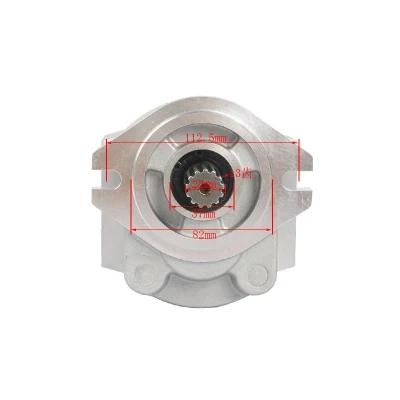 Forklift Parts Hydraulic Pump &amp; Gear Pump Use for 6102, Cbft-G432alki-a