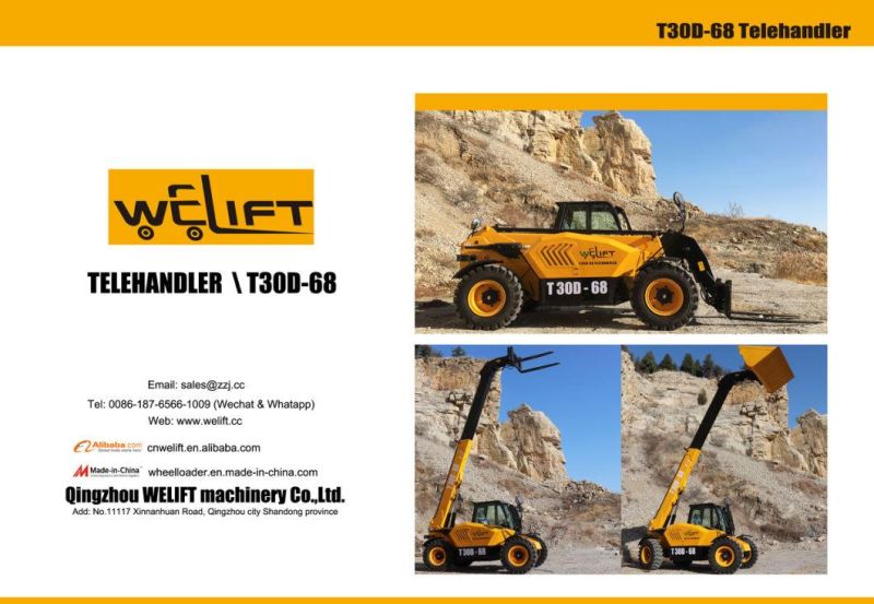 Forklift Type Telehandlder 3 Tons Telescopic Wheel Loader