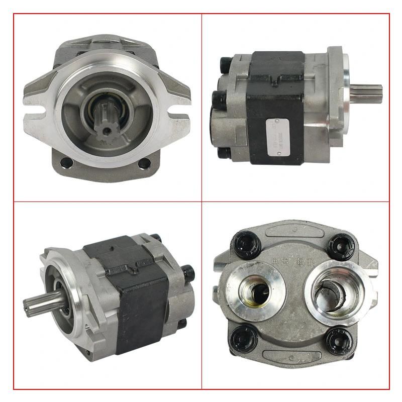 Forklift Parts Hydraulic Pump & Gear Pump Use for 30/491, R966-601100-000, Cbhz-F32-Alh6