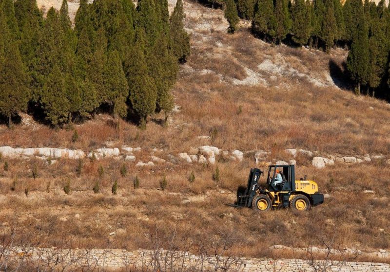 Welift10t Ce Certified 4WD Rough Terrain Forklift