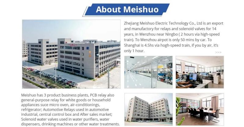 High Quality Meishuo 12 Months Zhejiang, China Auto with Waterproof Open Type Relay mAh-S-112-a-3r
