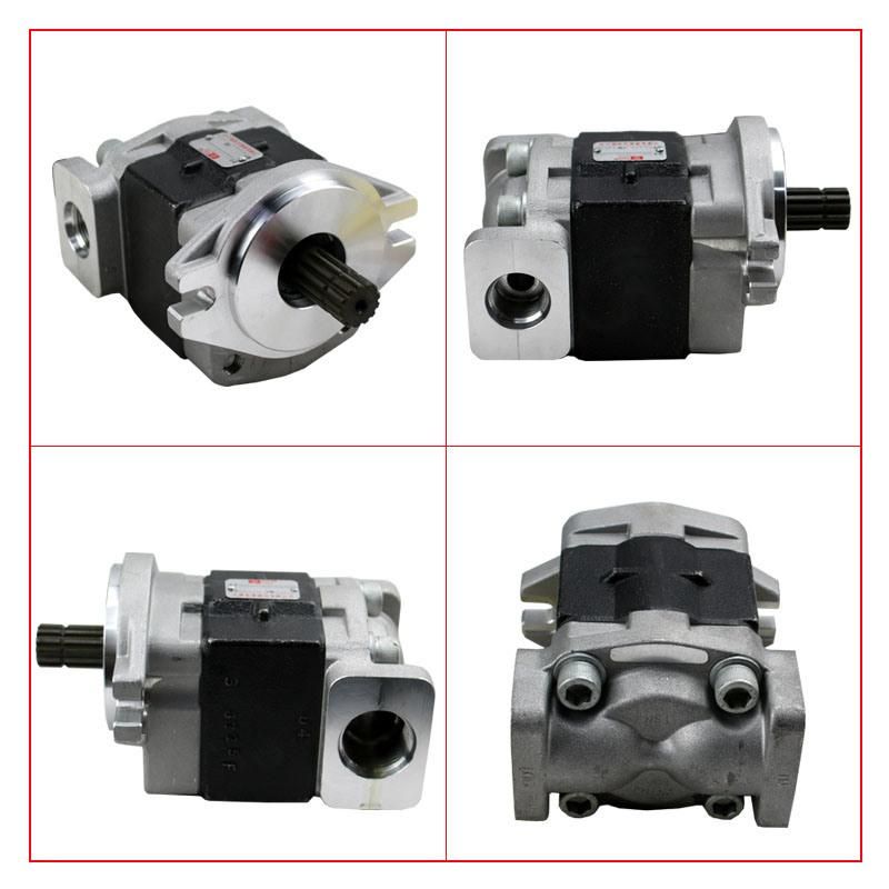 Forklift Parts Hydraulic Pump & Gear Pump Use for Teu6t, Sgp1-32f2h1-L366c