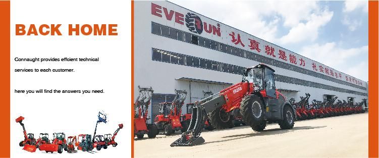 Everun Erdf30 Hot Sale Forklift Truck 3ton Hydraulic Diesel Forklift Lifting Equipment