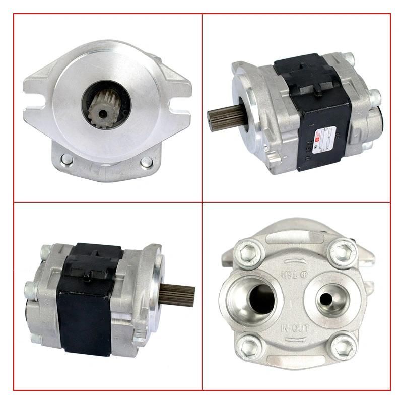 Forklift Parts Hydraulic Pump & Gear Pump Use for 30r, R305-601100-000, Sgp1a32D4h1-L489d