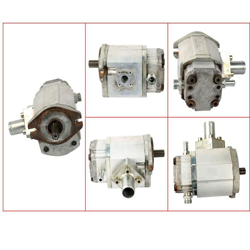 Forklift Parts Hydraulic Pump & Gear Pump Use for 1219, 0009812527