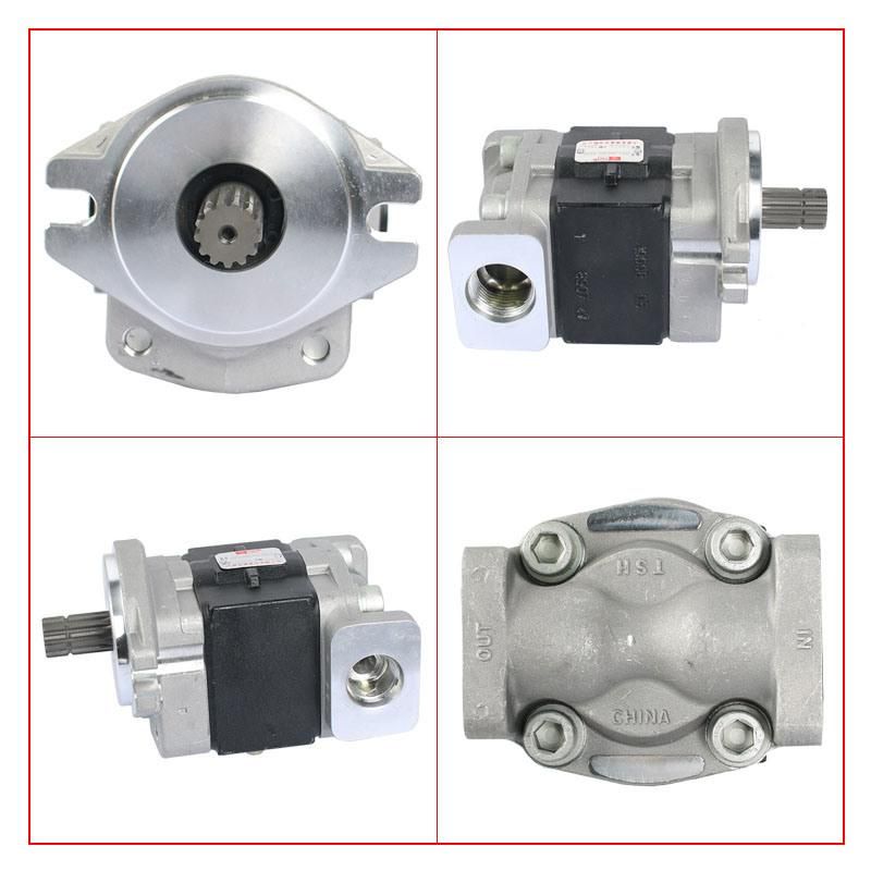 Forklift Parts Hydraulic Pump & Gear Pump Use for Tcmz8/Tu5-7t, Sgp1-36f2h9-R276c, 130c7-10361