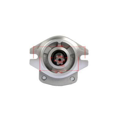 Forklift Parts Hydraulic Pump and Gear Pump Used for Hl2000/Xc490 with OEM Cbhz-F31.5-Alh6lcy