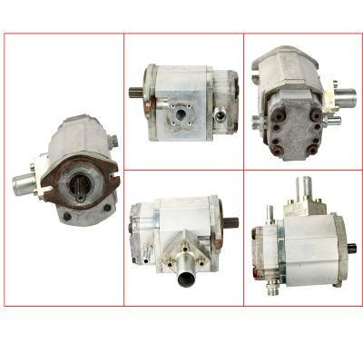 Forklift Parts Hydraulic Pump &amp; Gear Pump Use for 1219, 0009812527