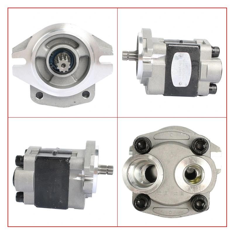 Forklift Parts Hydraulic Pump & Gear Pump Use for 3t/4tne98, R9621-601100-000