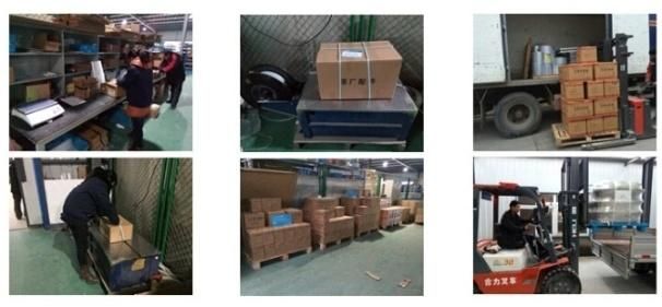 Electrical Multifunctional Instrument for Forklift Use
