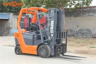 Everun Erfb20 2ton Electric Multidirectional Wood Manual Counterweight for Forklift