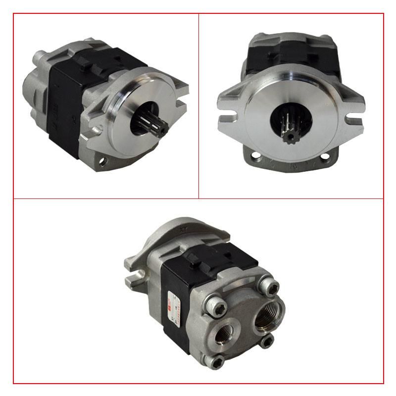 Forklift Parts Hydraulic Pump & Gear Pump Use for Hl/H20, Sgp1a31.9d2h9-R005c, 133A7-10201, 129f7-10301