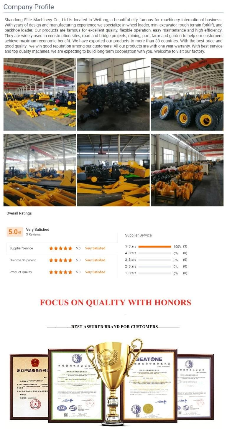Elite China First Class Quality 4X4 Diesel Forklift for Bad Road