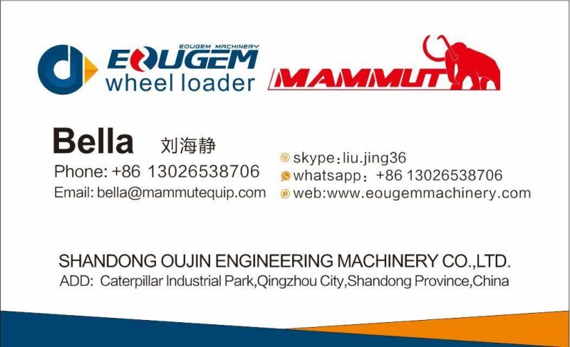 China Manufacture Mammut Brand Terrain Rough off Road Forklift with Side Shift