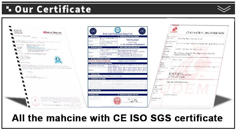 China Hot Sale 3.0ton Diesel Power Hydraulic Transmission Forklift for Sale
