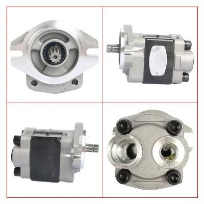 Forklift Parts Hydraulic Pump &amp; Gear Pump Use for 3t/4tne98, R9621-601100-000