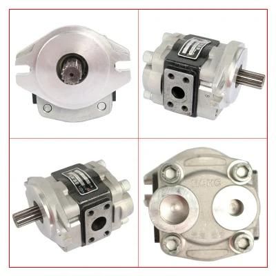 Forklift Parts Hydraulic Pump &amp; Gear Pump Use for 5t, Cbhza-F30af-L