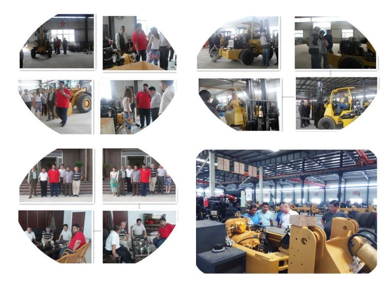 High Quality Forklift Wheel Loader