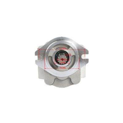 Forklift Parts Hydraulic Pump and Gear Pump Used for Hangcha5-7t with OEM Cbk-G436-Af@