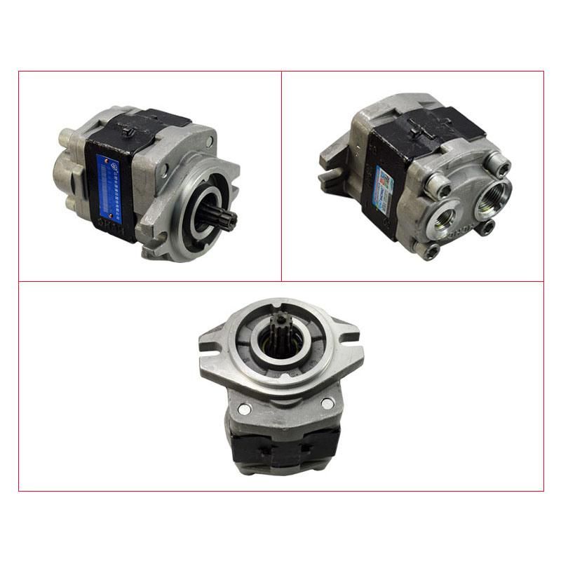 Forklift Parts Hydraulic Pump & Gear Pump Use for Tcm, 109m7-10101