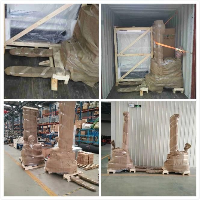 Stand on 1-2 Ton Tder Walkie Forklift for Warehouse OEM