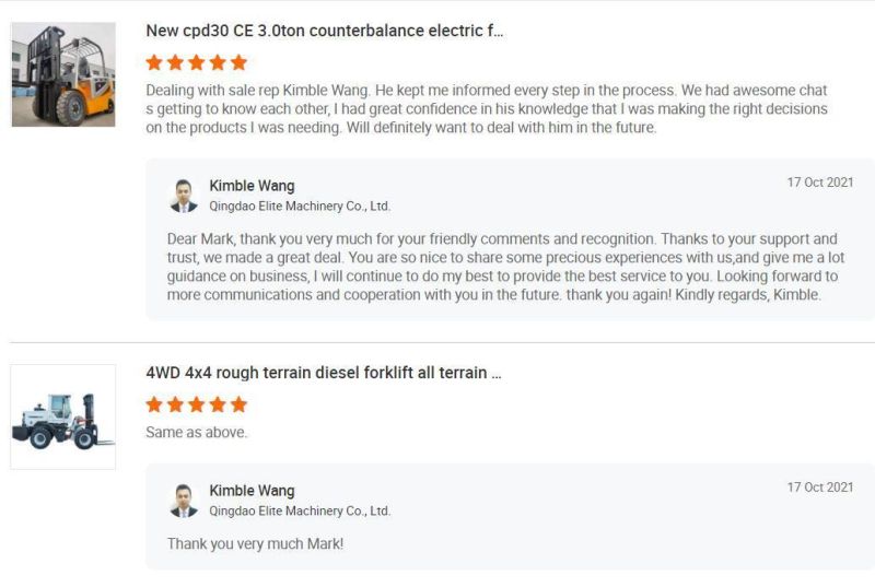 Best Sell Electric Forklift Truck Manufacturer Electric Lifting Equipment Sale