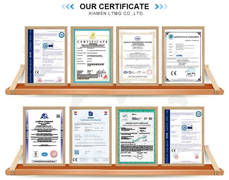 Ltmg 10t Diesel Forklift New 10 Ton Forklift Price with CE Certificate