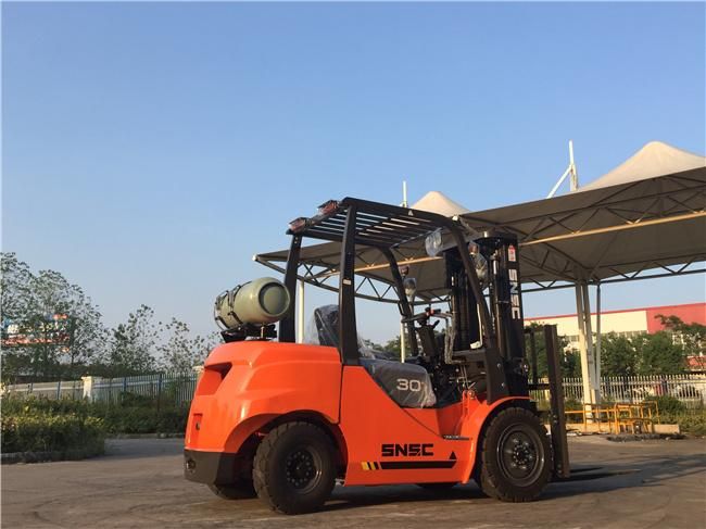 Japan Nissan Engine Dual Fuel Forklift FL30