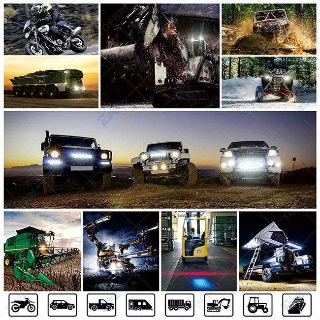 Factory Offer 30W Blue Zone CREE LED Forklift Light